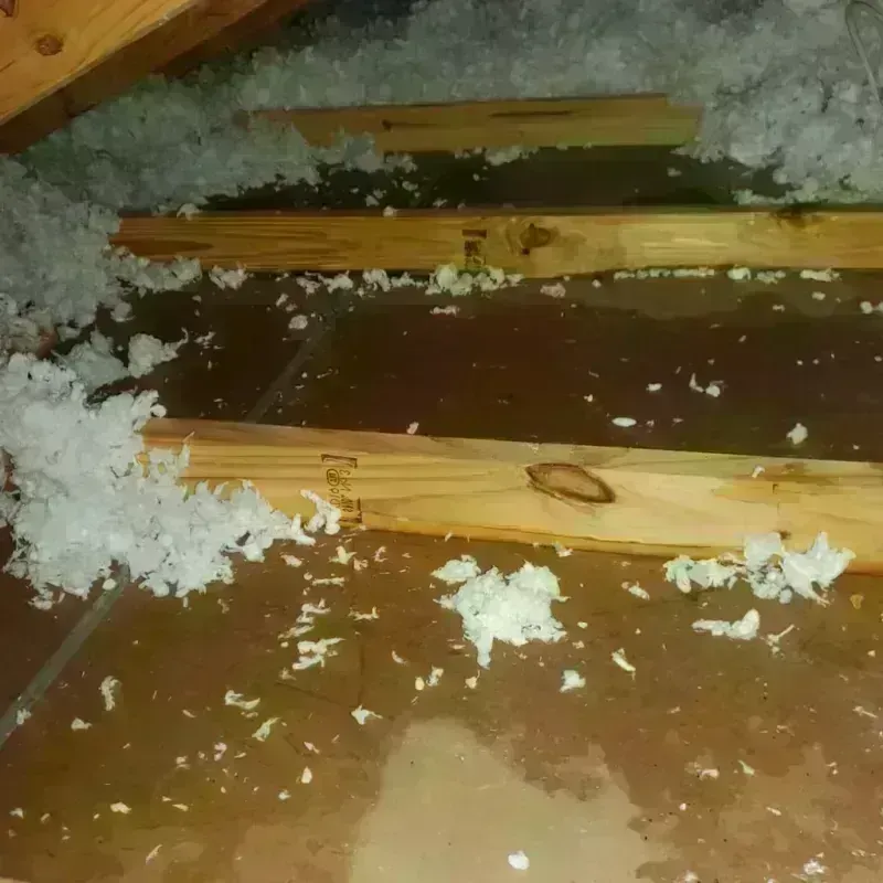 Attic Water Damage in Freeport, TX