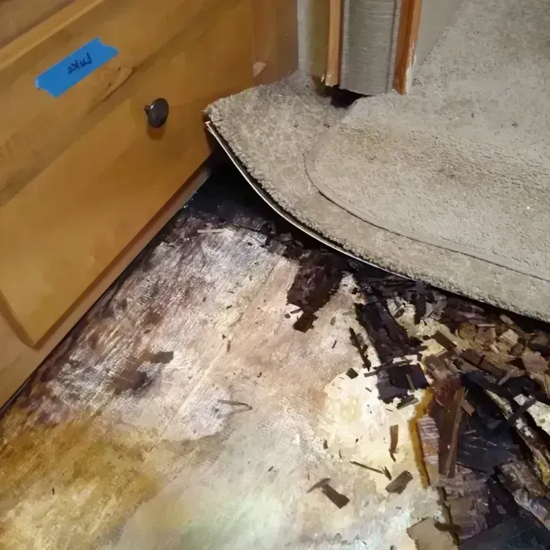 Wood Floor Water Damage in Freeport, TX